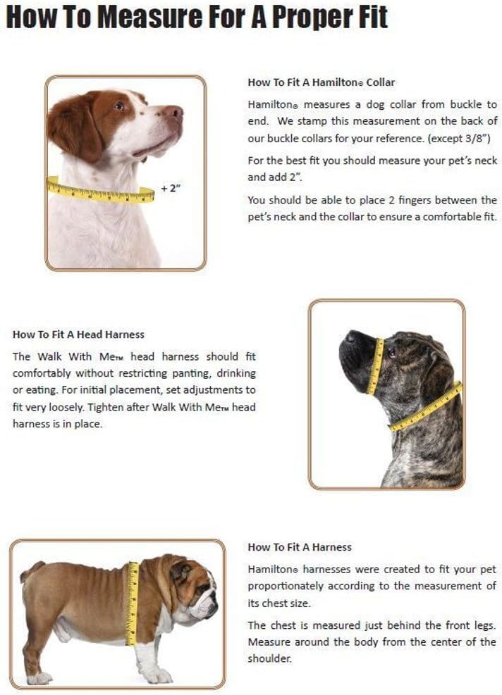 Hamilton Adjustable Nylon Dog Harness - Red, Size Small (5/8" x 12-20") for Puppies and Small Breeds