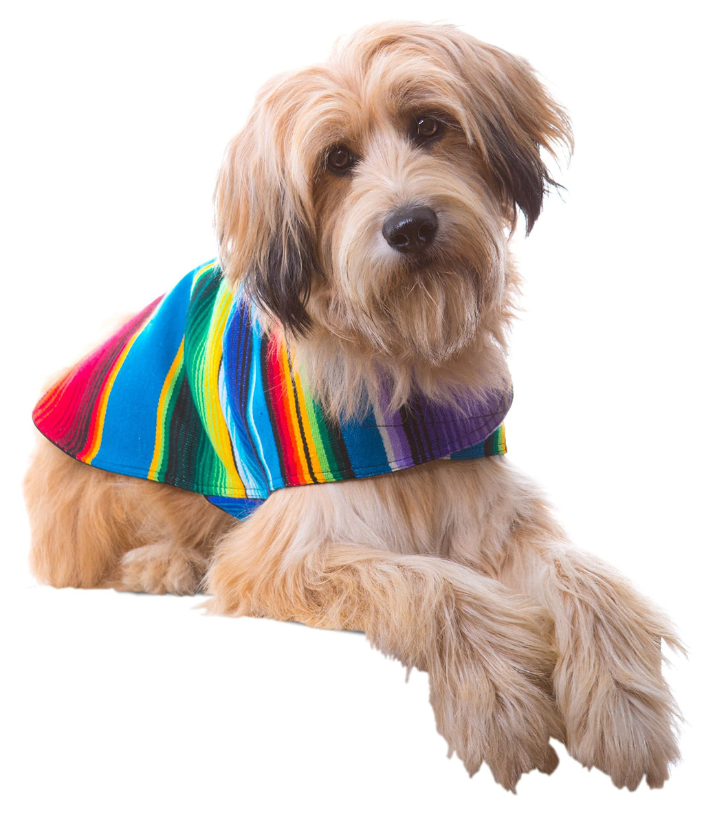 Handmade Dog Poncho from Authentic Mexican Blanket – Blue, XXS for Small Dogs