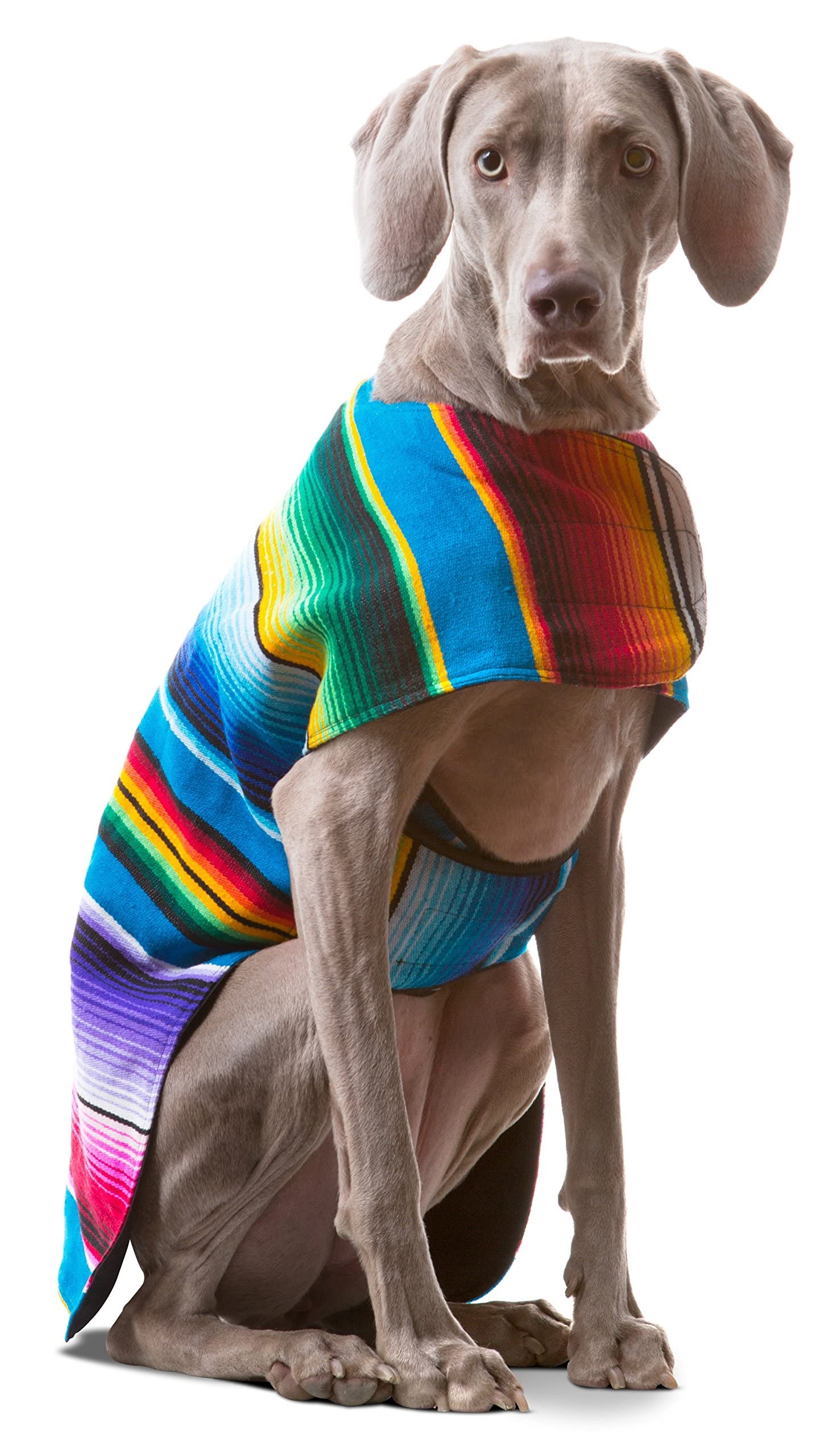 Handmade Dog Poncho from Authentic Mexican Blanket – Blue, XXS for Small Dogs