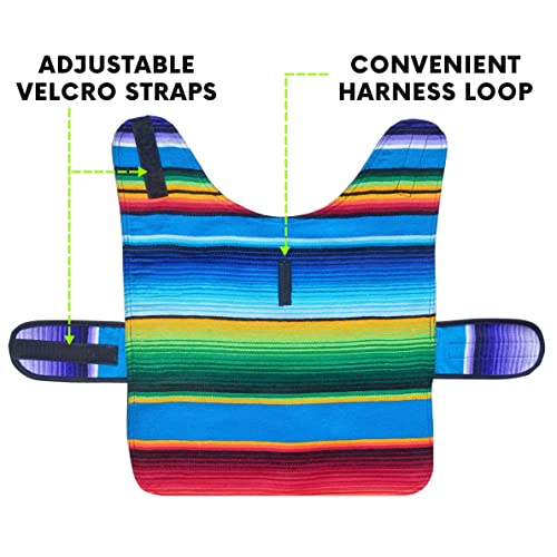 Handmade Dog Poncho from Authentic Mexican Blanket – Blue, XXS for Small Dogs