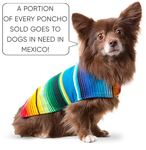Handmade Dog Poncho from Authentic Mexican Blanket – Blue, XXS for Small Dogs
