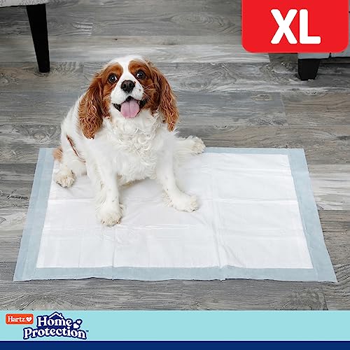 Hartz Home Protection XL Dog Pads, 30 Count, Mountain Fresh Scent, Super Absorbent with FlashDry Technology