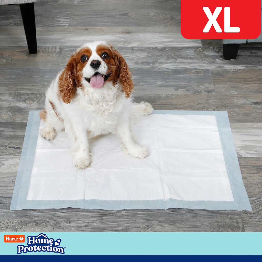 Hartz Home Protection XL Dog Pads, 30 Count, Mountain Fresh Scent, Super Absorbent with FlashDry Technology
