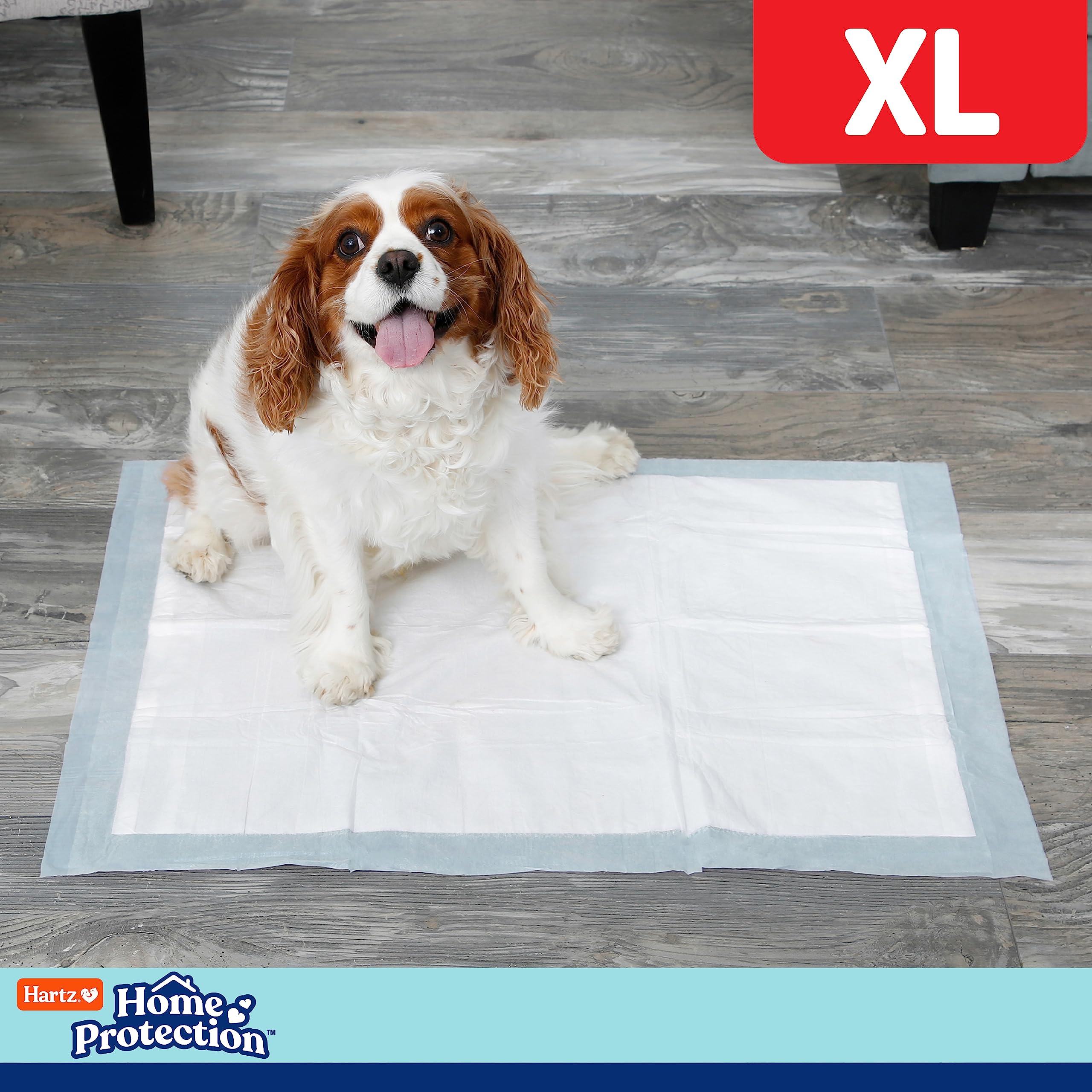 Hartz Home Protection XL Dog Pads, 30 Count, Mountain Fresh Scent, Super Absorbent with FlashDry Technology