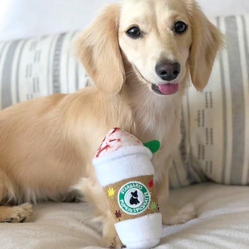 Haute Diggity Dog Starbarks Pupkin Spice Latte Plush Dog Toy – Squeaker, Machine Washable, 7 Inches