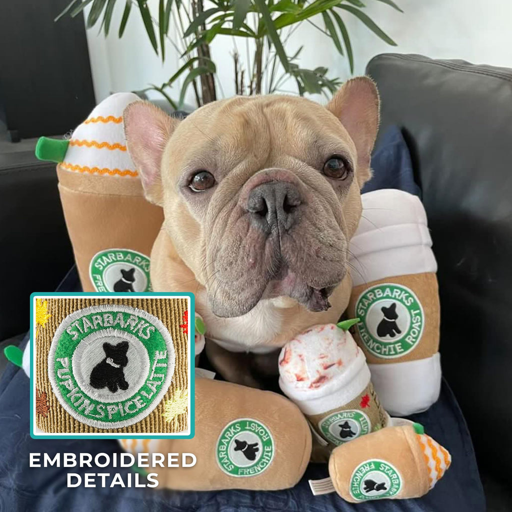 Haute Diggity Dog Starbarks Pupkin Spice Latte Plush Dog Toy – Squeaker, Machine Washable, 7 Inches