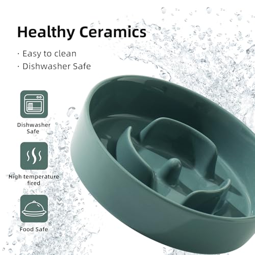 Havniva Ceramic Slow Feeder Dog Bowl - 0.9 Cup, 6.1 Inch, Non-Slip, Anti-Gulping for Small Breeds