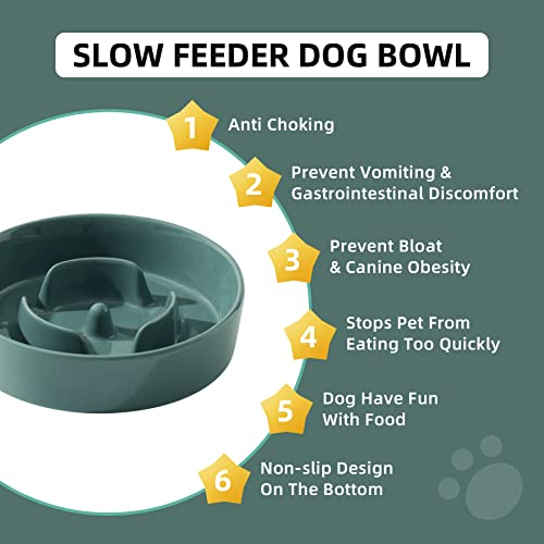 Havniva Ceramic Slow Feeder Dog Bowl - 0.9 Cup, 6.1 Inch, Non-Slip, Anti-Gulping for Small Breeds