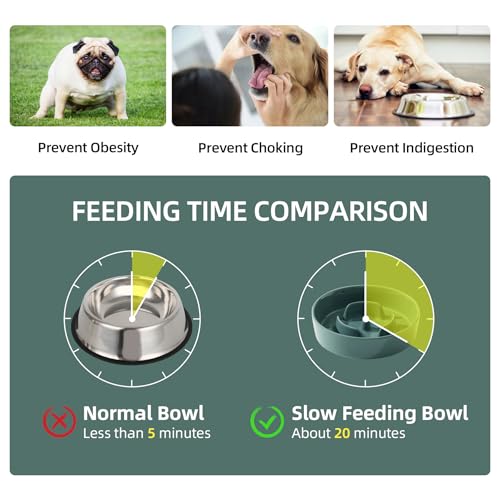 Havniva Ceramic Slow Feeder Dog Bowl - 0.9 Cup, 6.1 Inch, Non-Slip, Anti-Gulping for Small Breeds