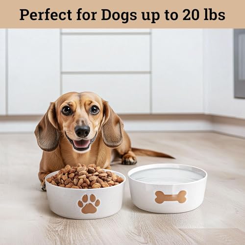 HB Design Co. Ceramic Dog Bowl Set of 2 - 5-Inch Wide, Anti-Skid Rubber Base, 2 Cup Capacity for Small Dogs