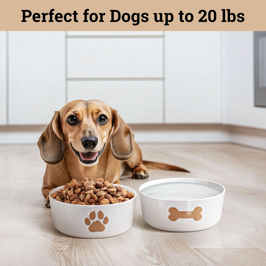 HB Design Co. Ceramic Dog Bowl Set of 2 - 5-Inch Wide, Anti-Skid Rubber Base, 2 Cup Capacity for Small Dogs