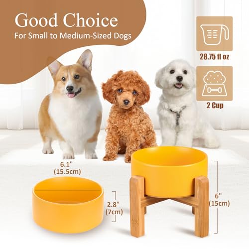 HCHLQLZ Ceramic Raised Cat Bowl with Wood Stand – No Spill, Elevated Pet Feeder for Cats and Small Dogs