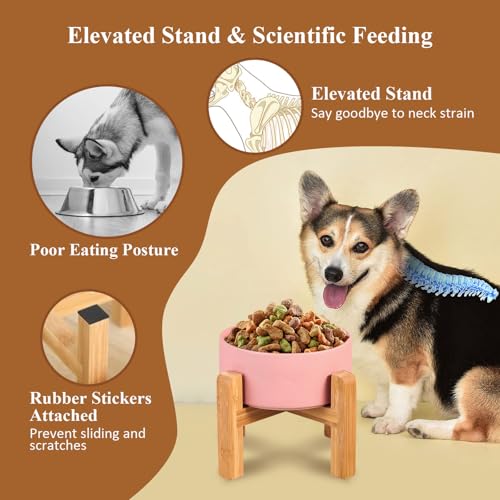 HCHLQLZ Ceramic Raised Cat Bowl with Wood Stand – No Spill, Elevated Pet Feeder for Cats and Small Dogs