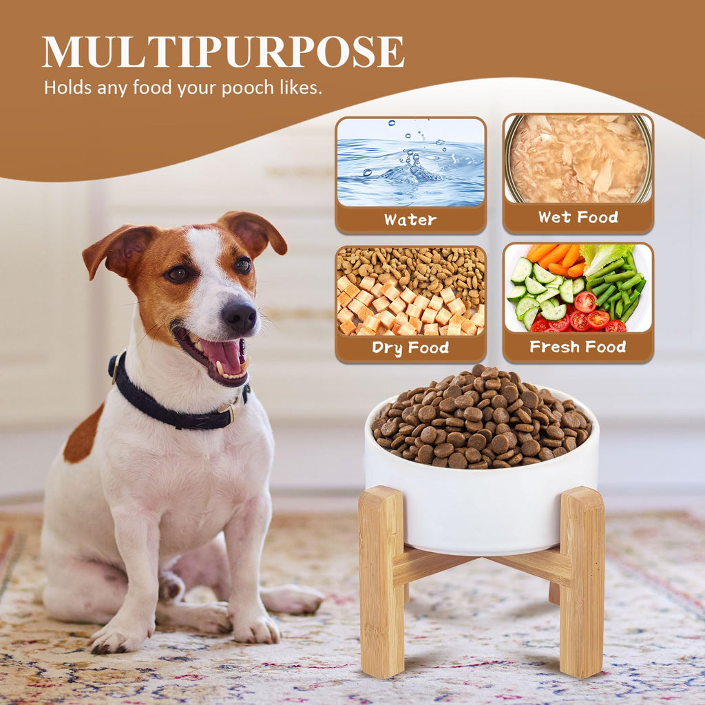 HCHLQLZ Ceramic Raised Cat Bowl with Wood Stand – No Spill, Elevated Pet Feeder for Cats and Small Dogs