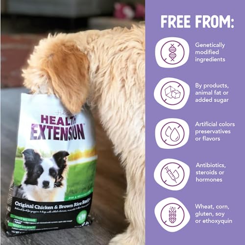 Health Extension Original Chicken & Brown Rice Dry Dog Food – Protein-Packed with Probiotics & Superfoods, 4 lb
