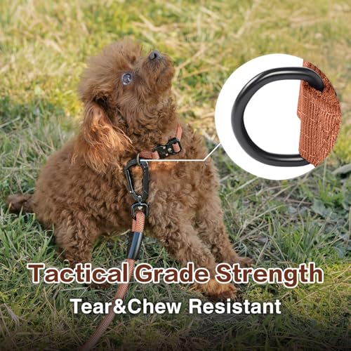 Heavy Duty Tactical Dog Collar for Large Dogs - Reinforced 1000D Nylon with COBRA Quick-Release Buckle, Canyon Red (Size L)