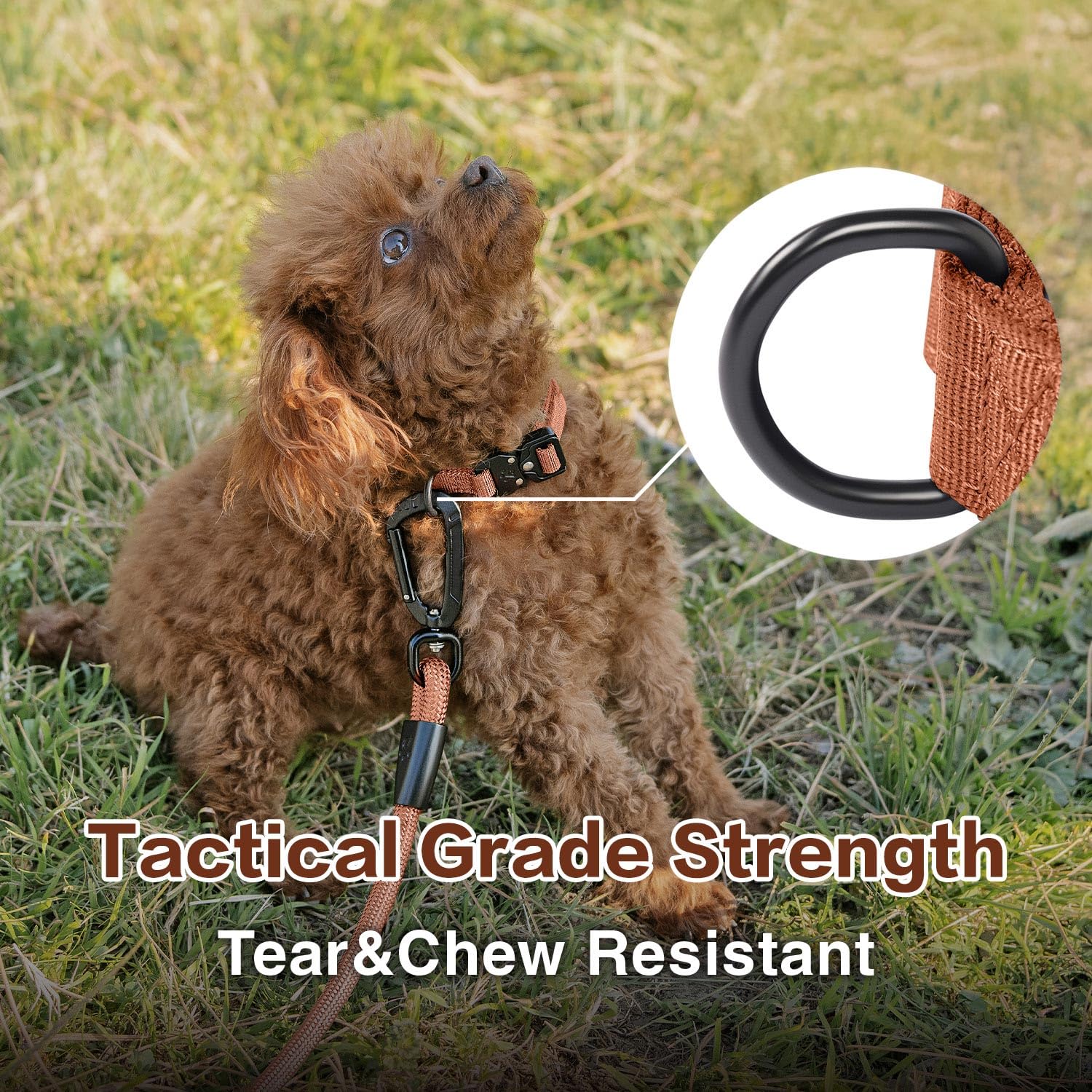 Heavy Duty Tactical Dog Collar for Large Dogs - Reinforced 1000D Nylon with COBRA Quick-Release Buckle, Canyon Red (Size L)