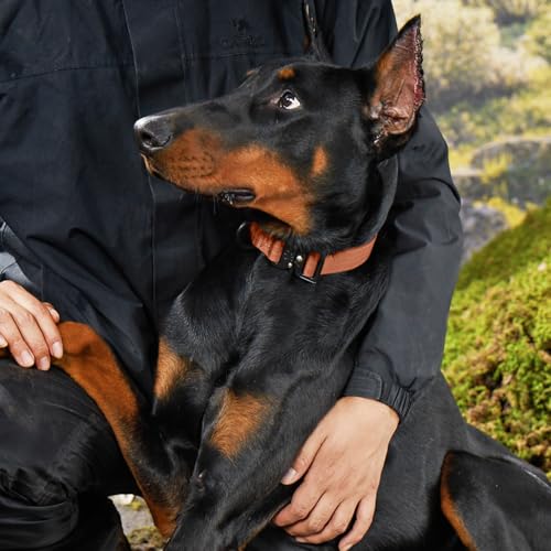 Heavy Duty Tactical Dog Collar for X-Large Dogs - Canyon Red, XL