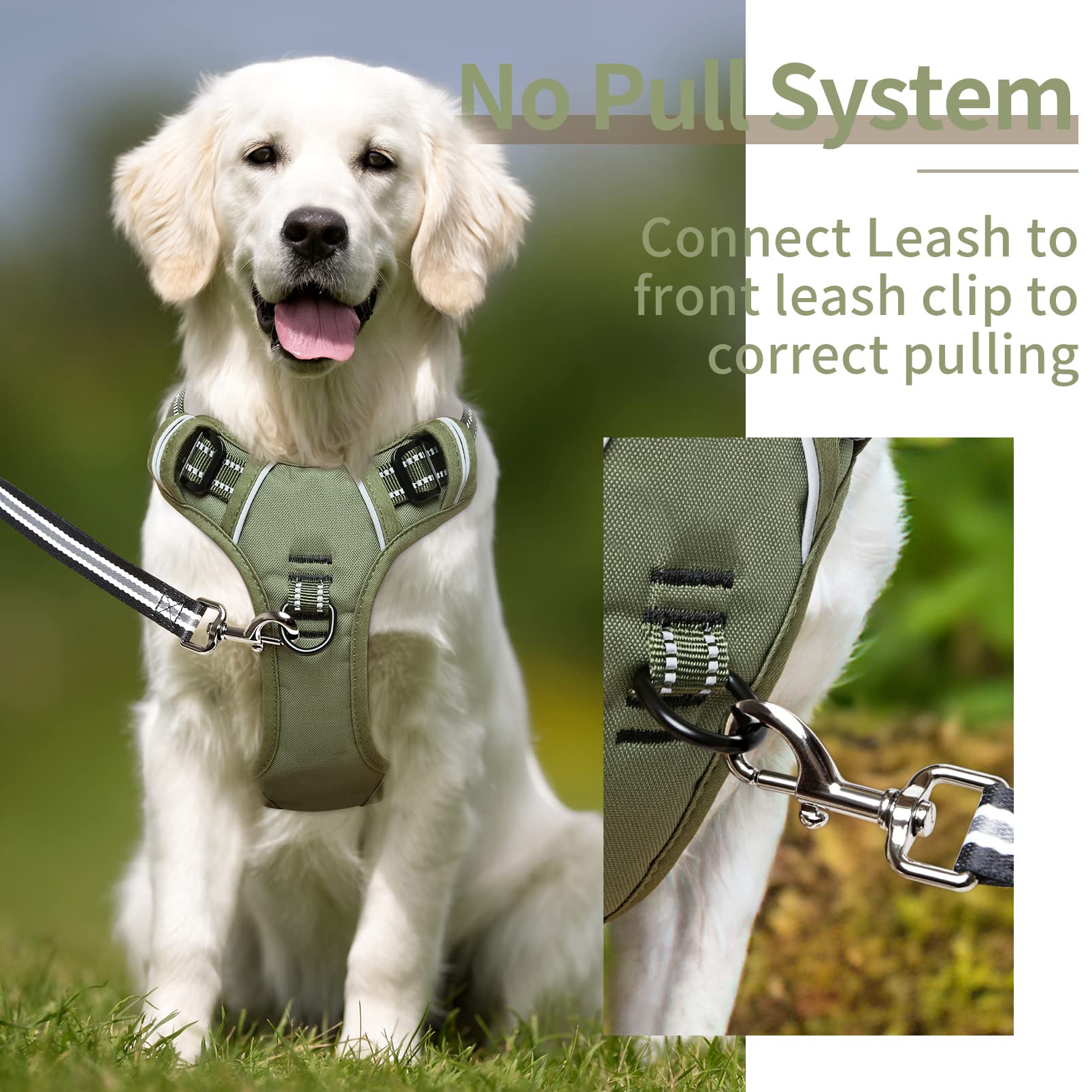 HEELE No Pull Dog Harness, Size M – Adjustable Padded Reflective Vest with Handle for Small to Medium Dogs, Green