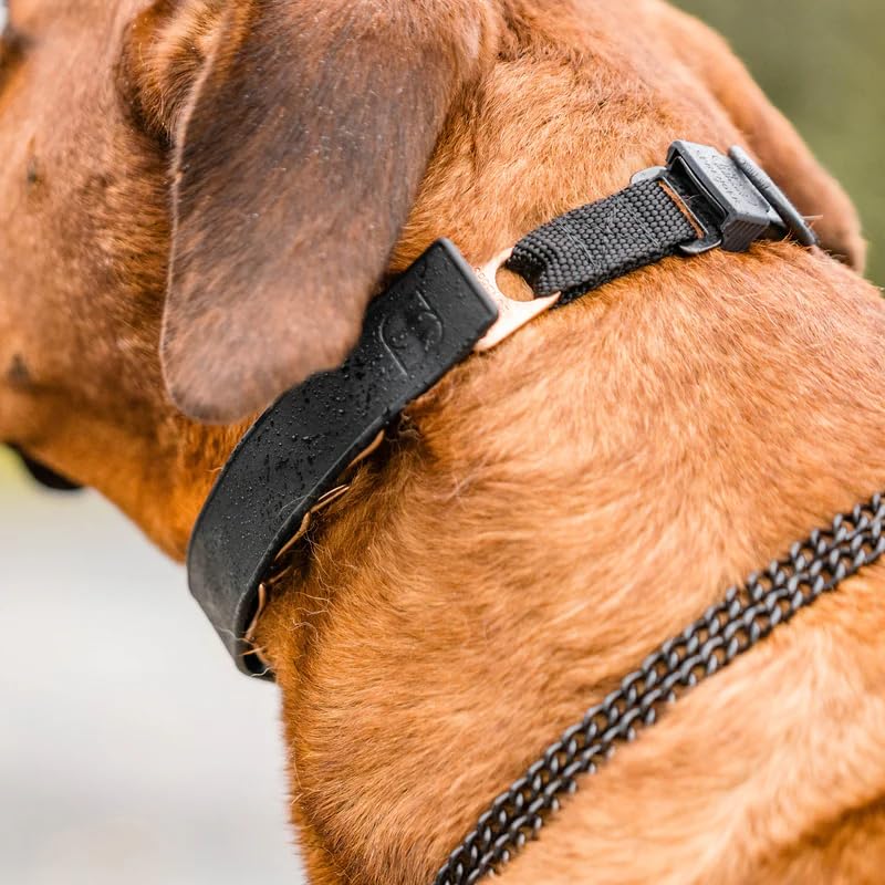 Herm Sprenger FLEXCOVER Prong Collar Cover (Black) – Cut-to-Fit TPE Sleeve for Ultra-Plus Training Collars, Sold as Pair