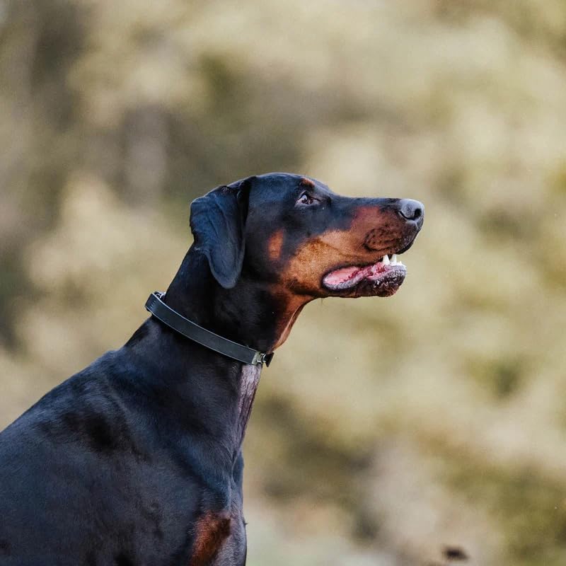 Herm Sprenger FLEXCOVER Prong Collar Cover (Black) – Cut-to-Fit TPE Sleeve for Ultra-Plus Training Collars, Sold as Pair