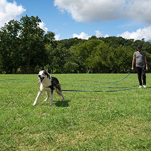 Hi Kiss 100ft Nylon Dog Training Lead - Long Recall Leash for Obedience, Outdoor Play - Black