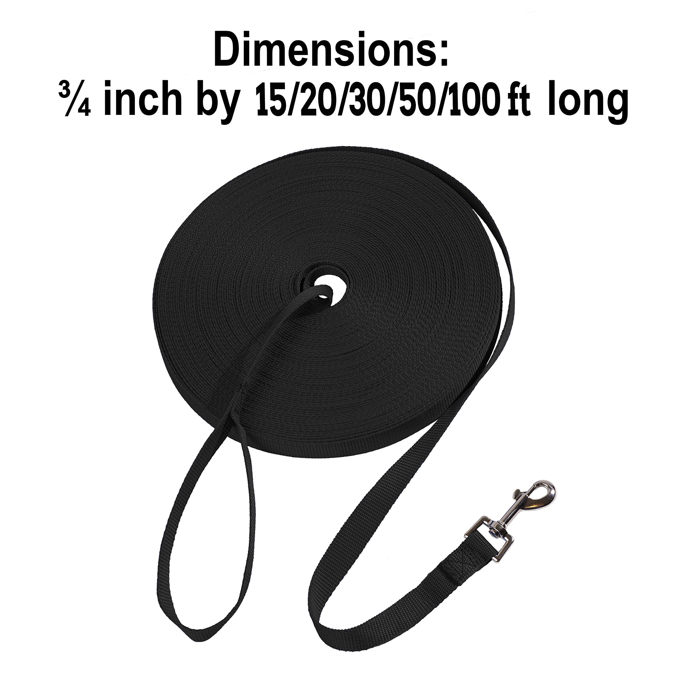 Hi Kiss 100ft Nylon Dog Training Lead - Long Recall Leash for Obedience, Outdoor Play - Black