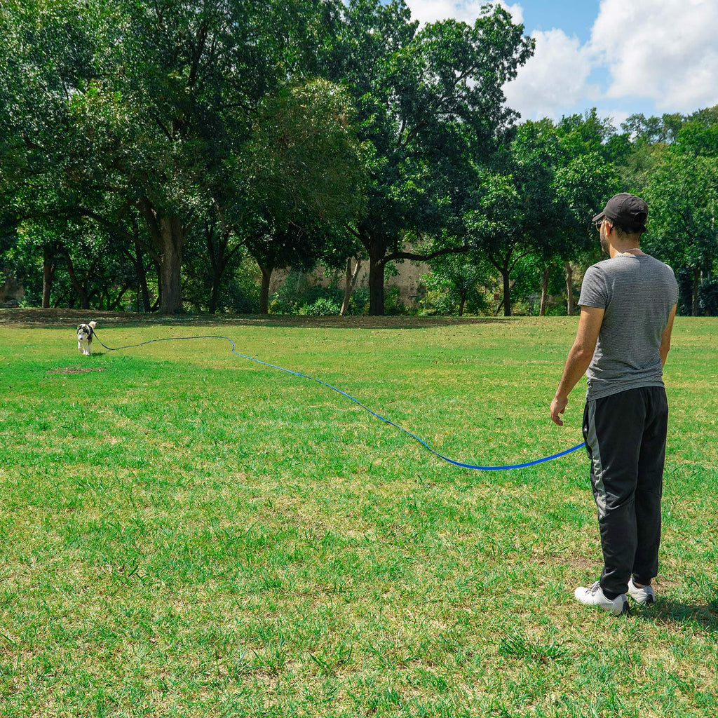 Hi Kiss 100ft Nylon Dog Training Lead - Long Recall Leash for Obedience, Outdoor Play - Black