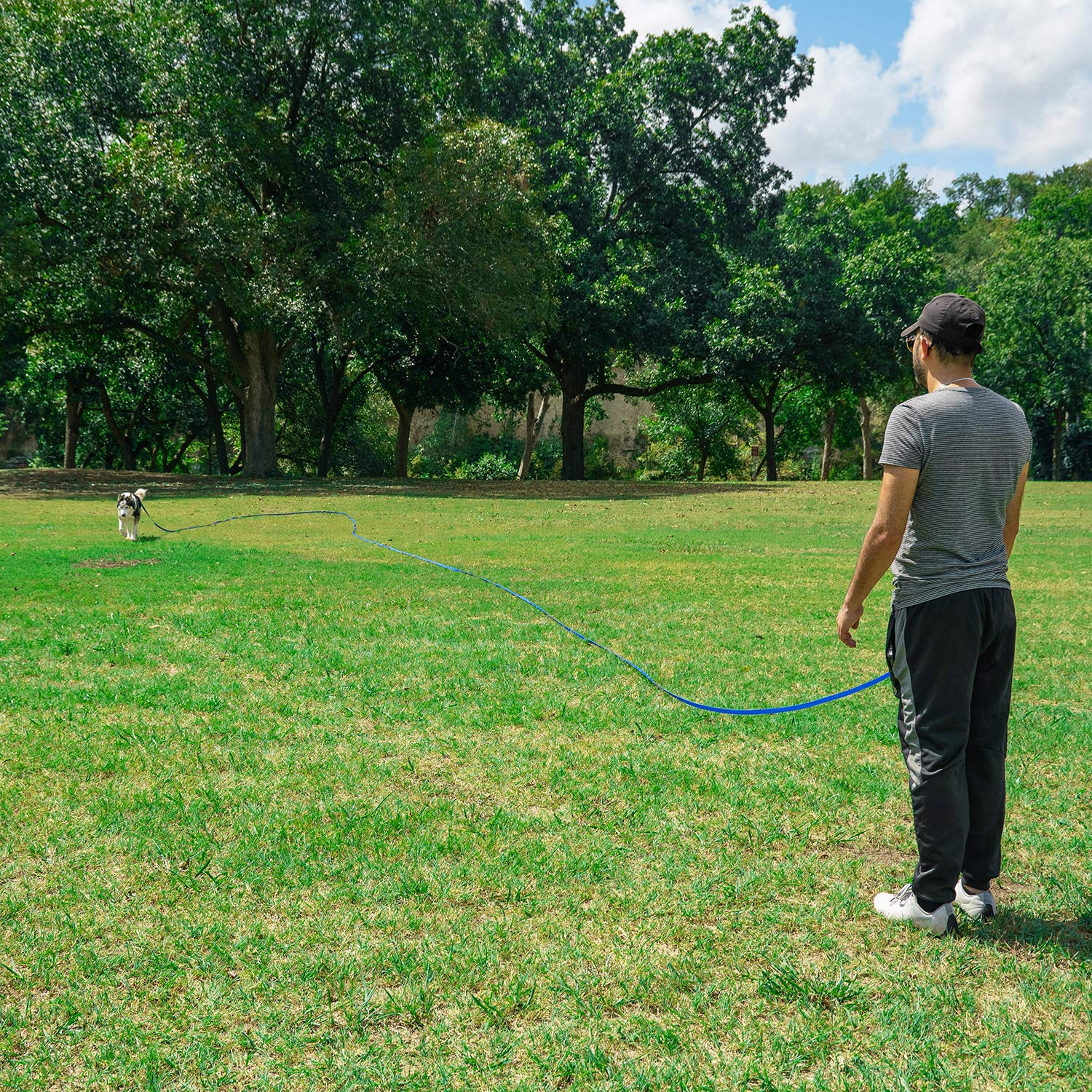 Hi Kiss 100ft Nylon Dog Training Lead - Long Recall Leash for Obedience, Outdoor Play - Black