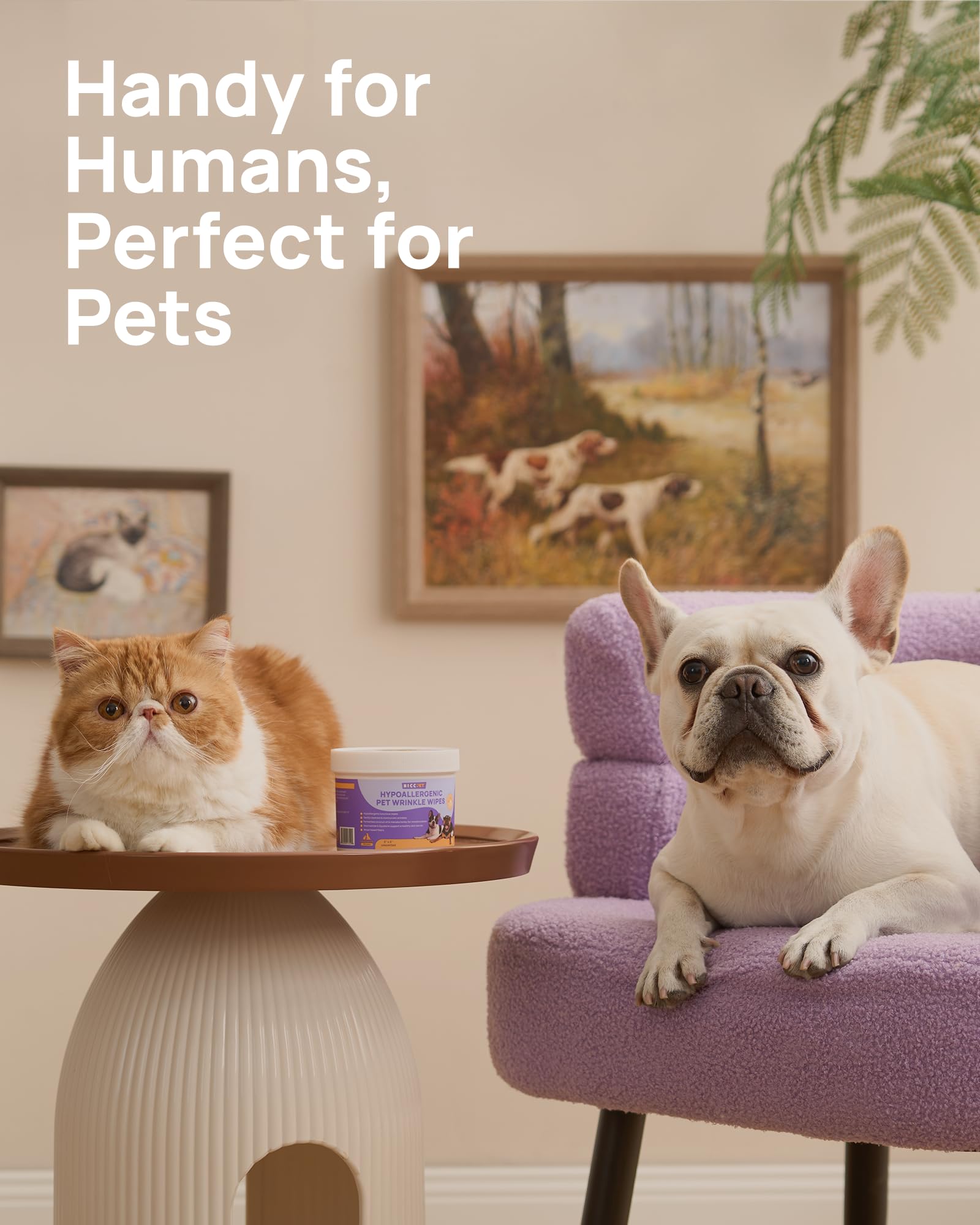 HICC PET Wrinkle Wipes – Vet-Recommended Dog Wipes for French Bulldogs, Pugs, and English Bulldogs (100 Counts)