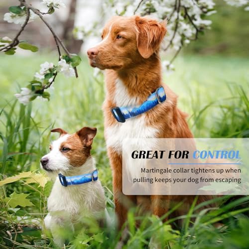 Hikiko Martingale Dog Collar - Nylon, Quick Release Buckle, No Slip, Medium, Hill Pattern