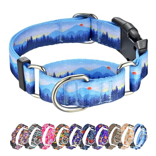 Hikiko Martingale Dog Collar - Nylon, Quick Release Buckle, No Slip, Medium, Hill Pattern