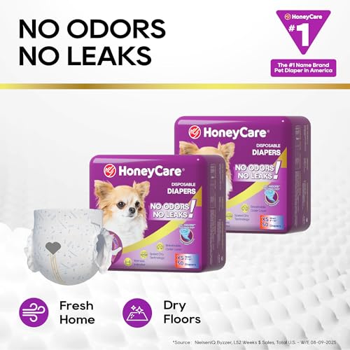 HONEY CARE All-Absorb Disposable Dog Diapers, Extra Small, 50 Count – Super Absorbent with Wetness Indicator