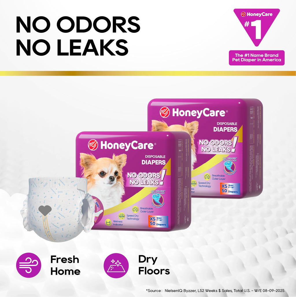 HONEY CARE All-Absorb Disposable Dog Diapers, Extra Small, 50 Count – Super Absorbent with Wetness Indicator
