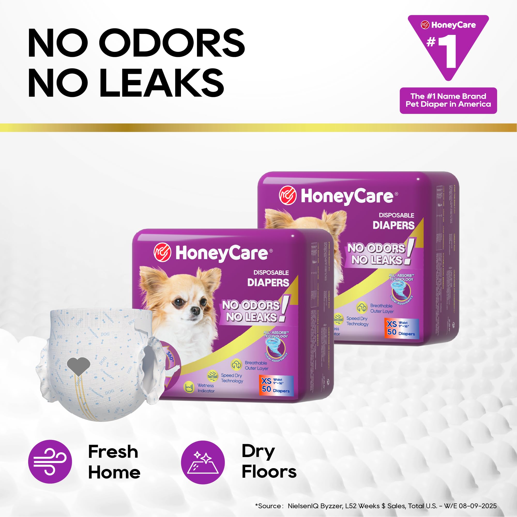 HONEY CARE All-Absorb Disposable Dog Diapers, Extra Small, 50 Count – Super Absorbent with Wetness Indicator