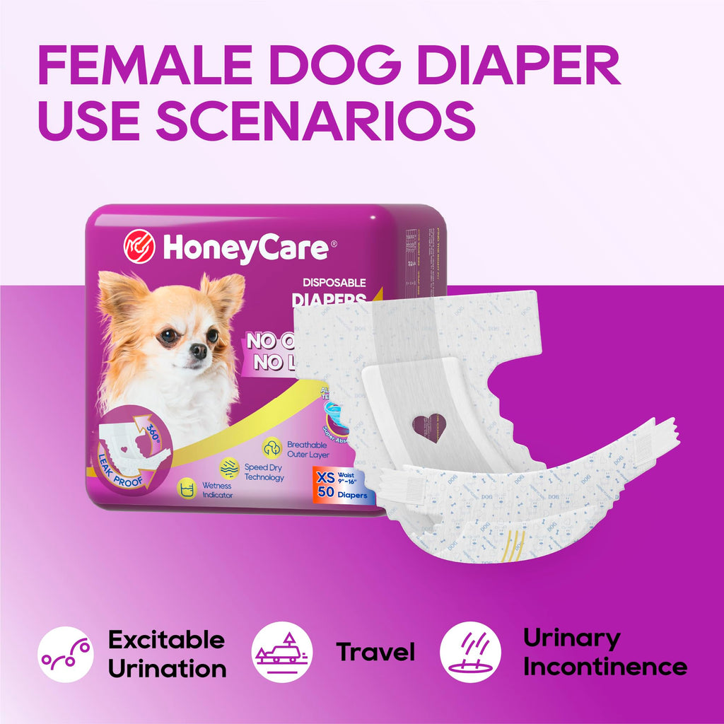 HONEY CARE All-Absorb Disposable Dog Diapers, Extra Small, 50 Count – Super Absorbent with Wetness Indicator