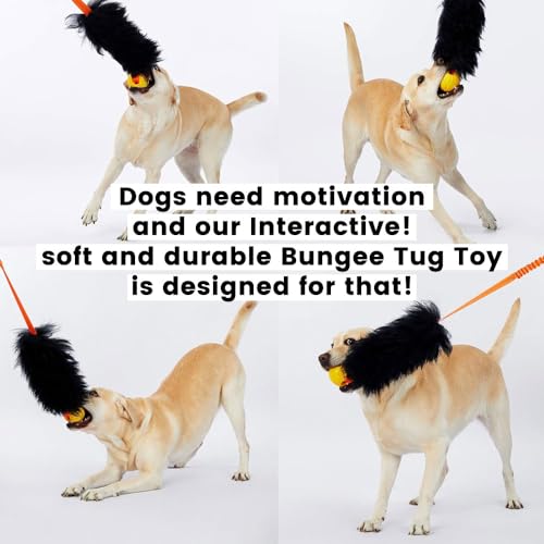 HOWGO Dog Bungee Chaser Toy – 100% Real Sheepskin Tug Toy for All Breeds (Orange, Long Without Ball)