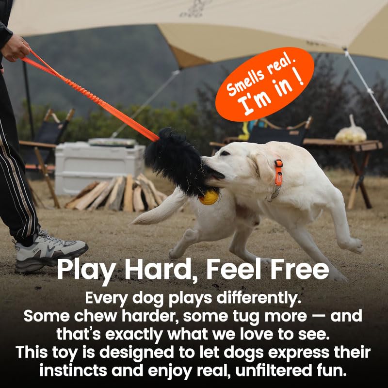 HOWGO Dog Bungee Chaser Toy – 100% Real Sheepskin Tug Toy for All Breeds (Orange, Long Without Ball)