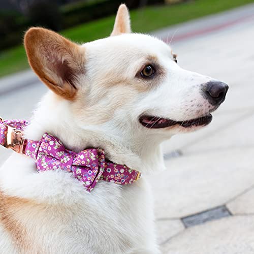 HSIGIO Adjustable Dog Collar and Leash Set with Floral Bow Tie – Purple, Size S for Small to Medium Dogs