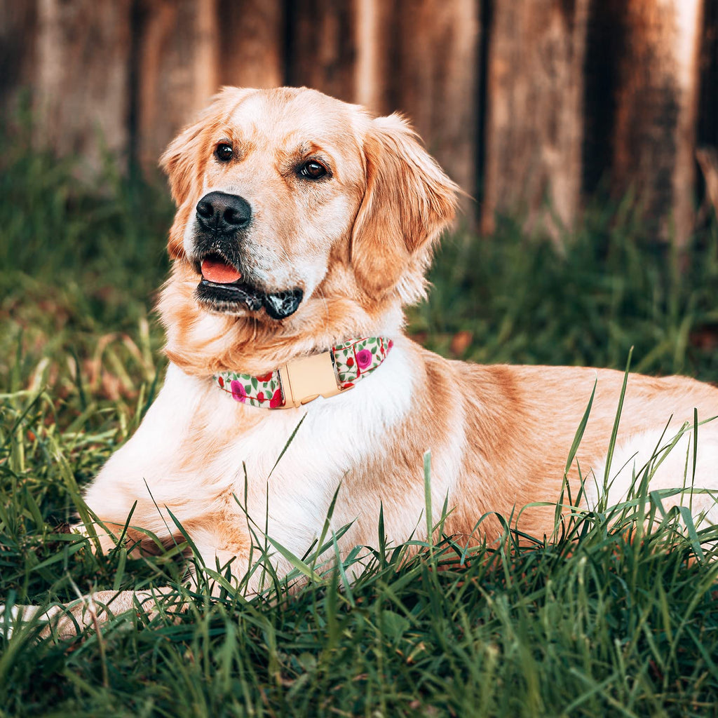 HSIGIO Cotton Dog Collar and Leash Set with Detachable Floral Bow Tie and Flower - Adjustable for Small, Medium, Large Dogs - Red Rose Pattern (XS)