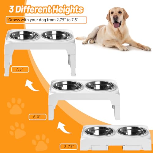 Hubulk Elevated Dog Bowls with 2 Stainless Steel Bowls - Adjustable 3 Heights Non-Slip Stand for Small Medium Dogs