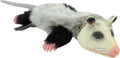 Hyper Pet Real Skinz Opossum Plush Dog Toy – Stuffing-Free with Two Squeakers