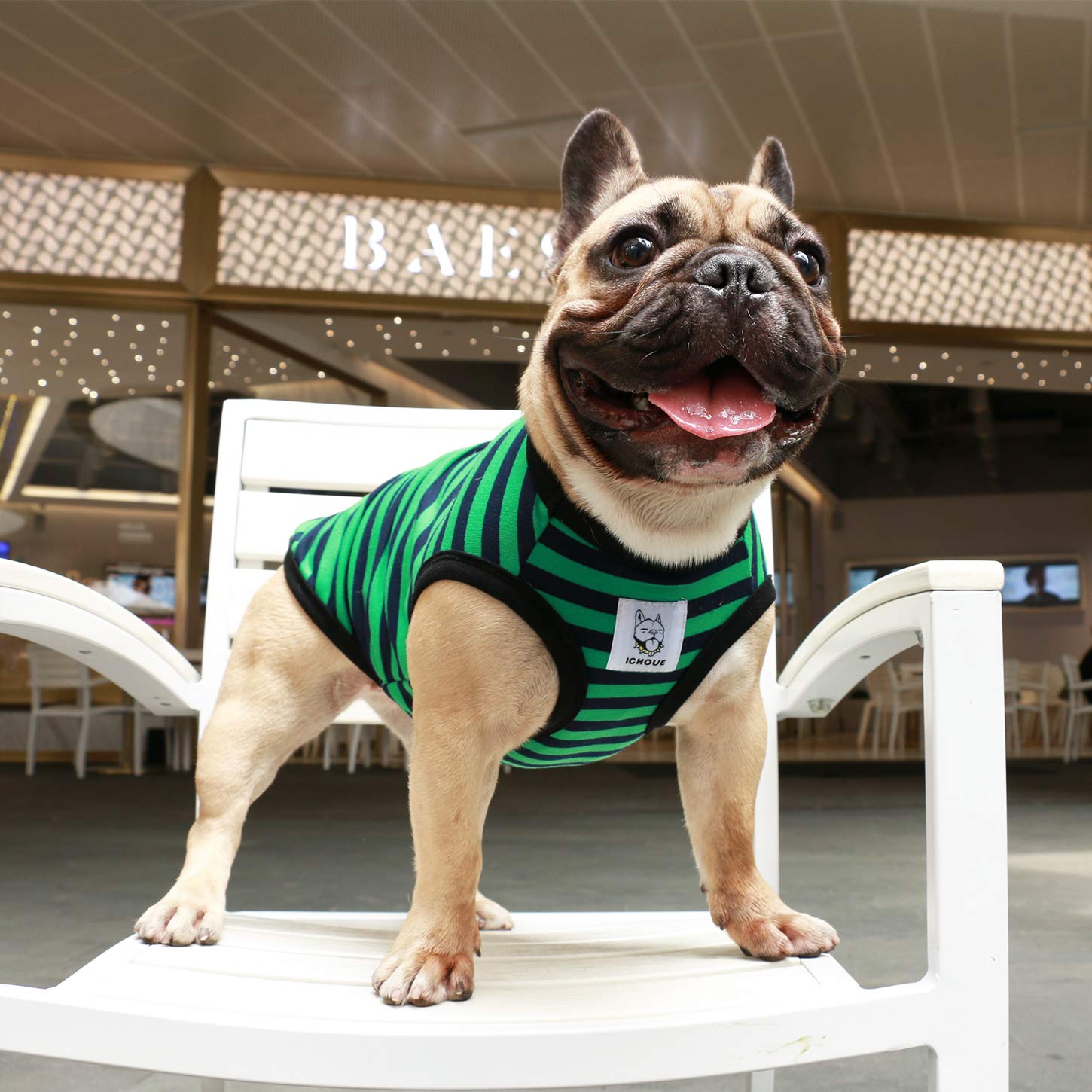 iChoue Striped Cotton Dog T-Shirt for Barrel Chest Breeds - XLarge Green Black Stripes