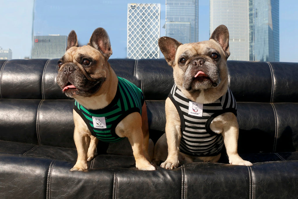 iChoue Striped Cotton Dog T-Shirt for Barrel Chest Breeds - XLarge Green Black Stripes