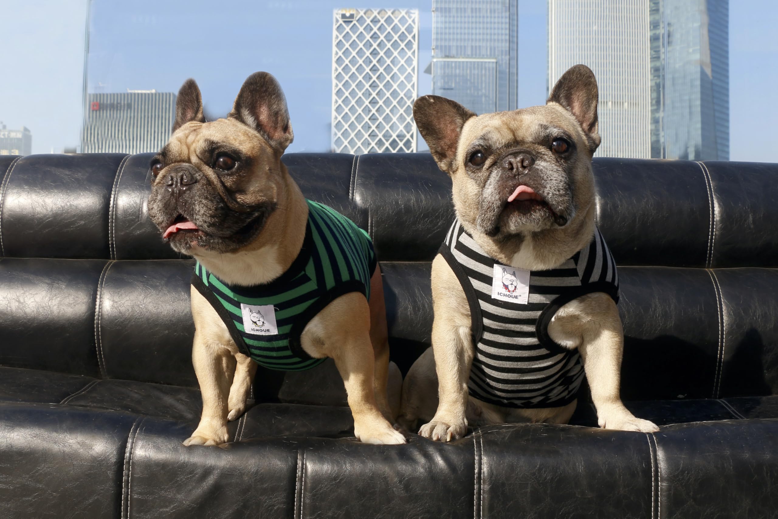 iChoue Striped Cotton Dog T-Shirt for Barrel Chest Breeds - XLarge Green Black Stripes