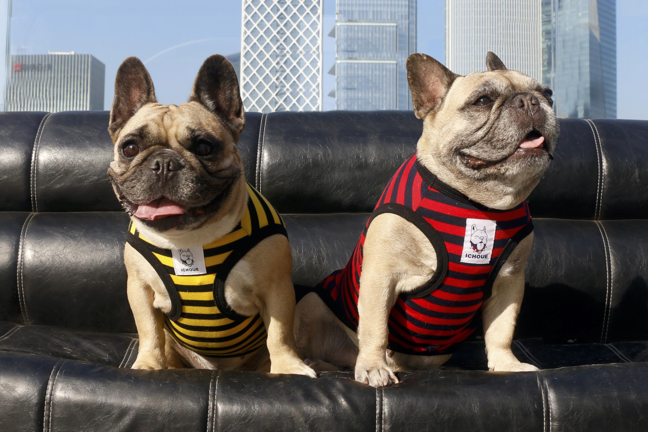iChoue XX-Large Striped Dog T-Shirt – Breathable Cotton Tank Top for Barrel Chest Breeds
