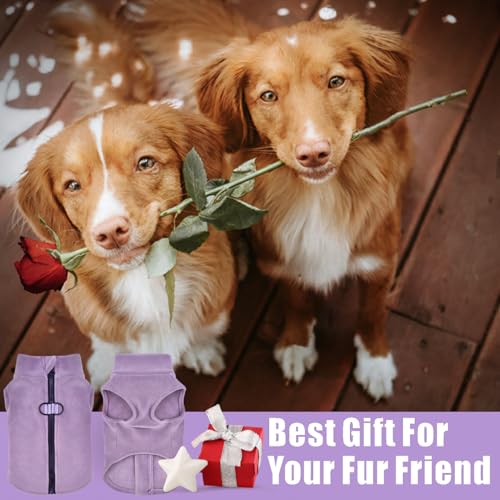 Idepet Dog Fleece Vest Sweater – Purple, XL – Zip-Up Warm Pullover with D-Rings for Small & Medium Dogs