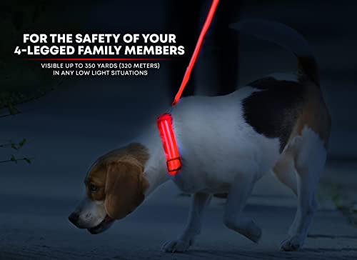 Illumiseen LED Dog Collar - USB Rechargeable, Adjustable Nylon, Ruby Red X-Small for Small Dogs