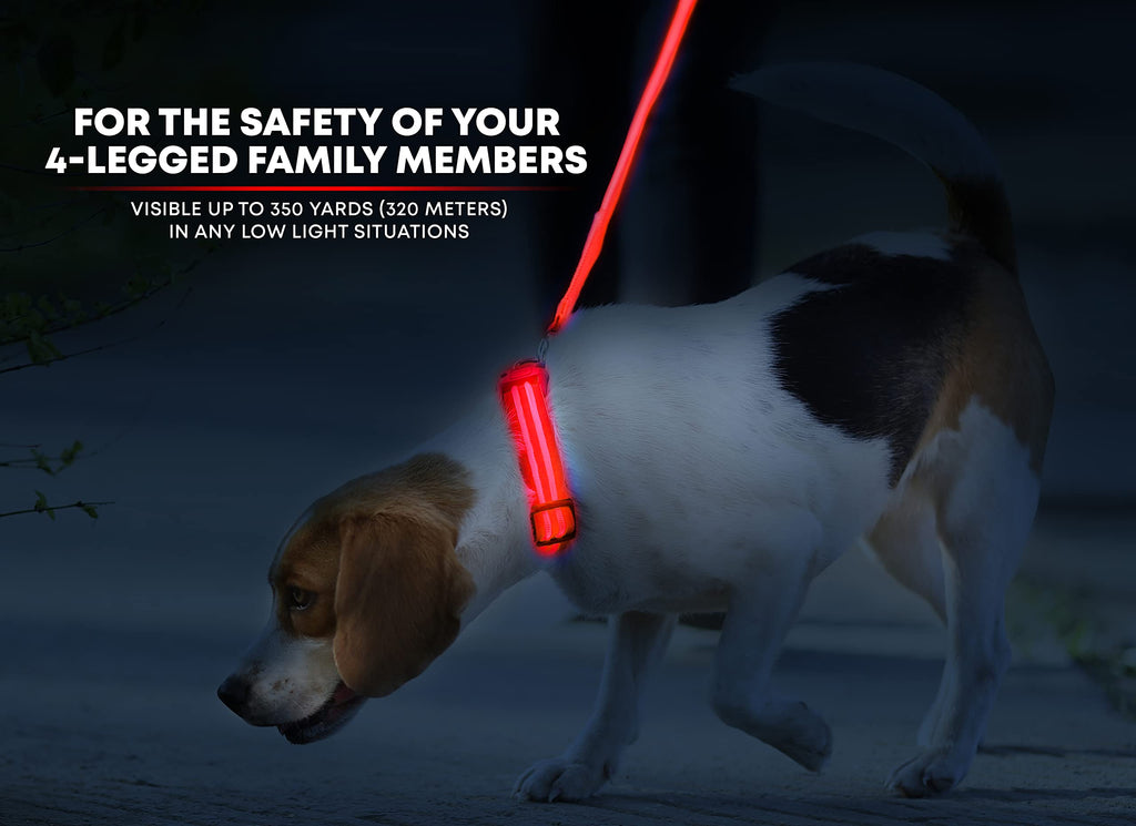 Illumiseen LED Dog Collar - USB Rechargeable, Adjustable Nylon, Ruby Red X-Small for Small Dogs