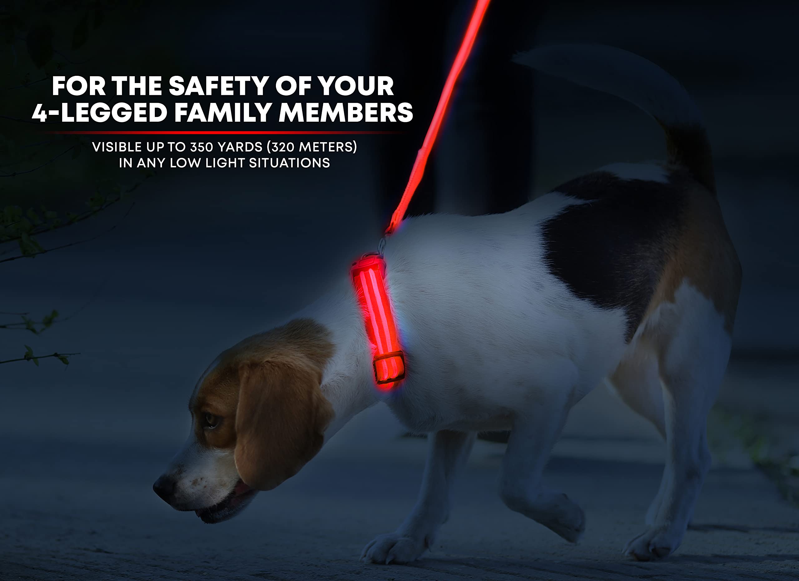 Illumiseen LED Dog Collar - USB Rechargeable, Adjustable Nylon, Ruby Red X-Small for Small Dogs